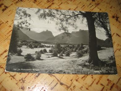 Idyl fra Romsdalen Brukt kort stempla LARVIK 1 VII 37