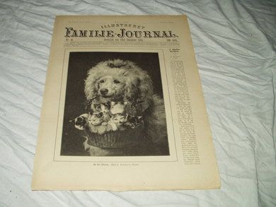 1894 nr 048 Illustrert Familie Journal