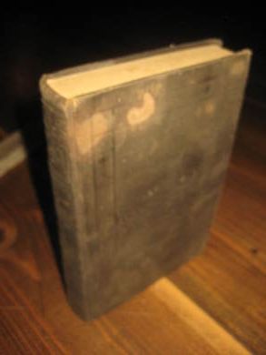 Nya Testamentet. 1891.