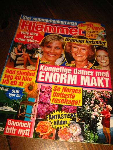 1999 nr 029 Hjemmet