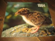 1984 strøken ubrukt kallender fra DOMUS