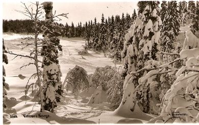 3293, Vinter i Norge