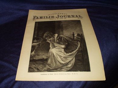 1895 nr 005 Illustrert Familie - Journal