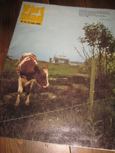 1980 nr 018 VÅRT BLAD