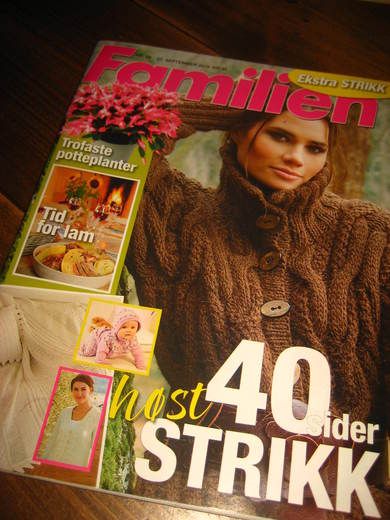 2010 nr 020 Familien