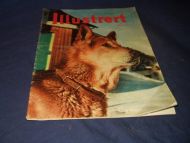 1957 nr 009 Illustrert