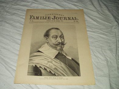 1894 nr 049 Illustrert Familie Journal