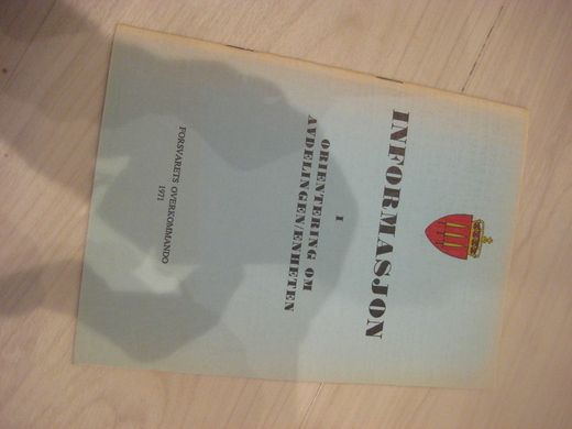 INFORMASJON I ORIENTERING OM AVDELINGEN - ENHETEN 1971