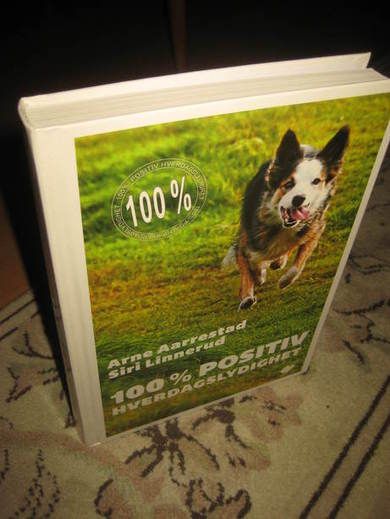 LINNERUD: 100 % POSITIV HVERDAGSLYDIGHET 2013