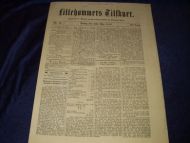 1886,nr 043, Lillehammers Tilskuer