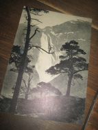 Skjeggedalsfoss. Eneret Wilse, serie B nr 12.