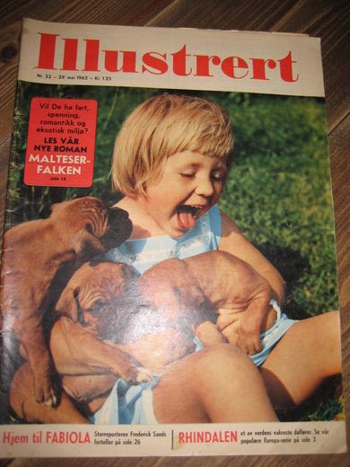 1963 nr 022 Illustrert