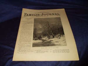 1895,nr 006, Illustrert Familie - Journal.