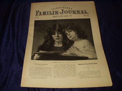 1896 nr 038 Illustreret Familie Journal