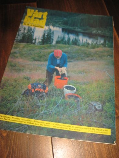 1980 nr 015 VÅRT BLAD
