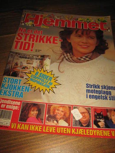 1991 nr 037 Hjemmet