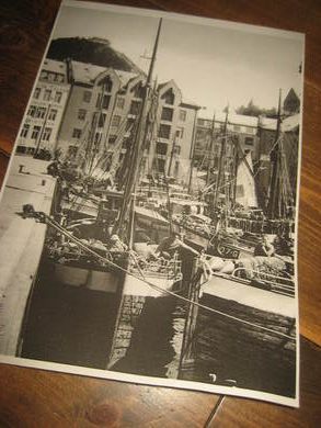 Bilde fra Ålesund på tidleg 1900 ca 21*30 cm stort pent i glass og ramme Dette er bilde nr 9