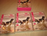 EXTRAORDINERY DOGS 3 DVD