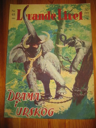 1950 nr 045 Levande Livet