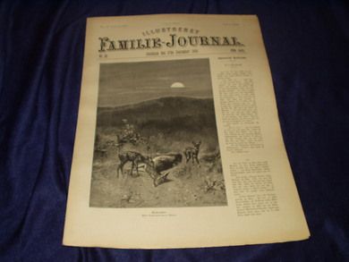 1896 nr 039 Illustreret Familie Journal