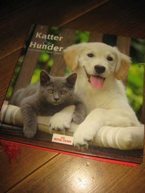 KATTER OG HUNDER KALENDERBOK