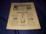 1901 nr 005 FREM Lys over land