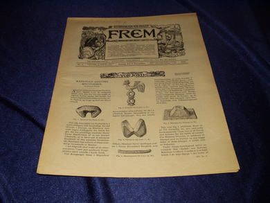 1901 nr 005 FREM Lys over land