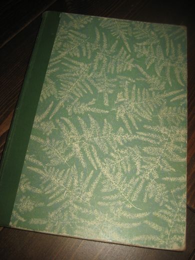 19657, NORSK BARNEBLAD..