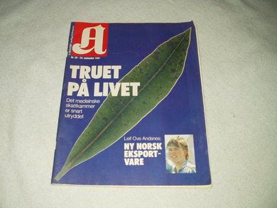 1991 nr 039 A magasinet