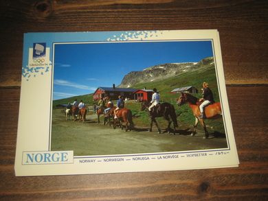 024 LOOC 1991 Ridetur under Hallingskarvet