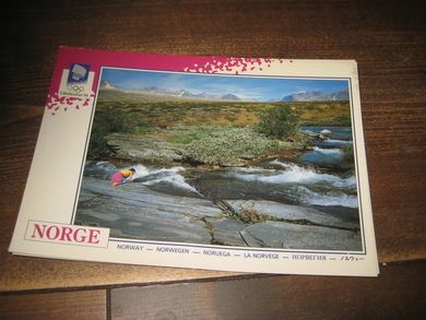018 LOOC 1991 I Rondane