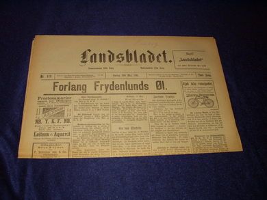 1894,nr 113, Landsbladet