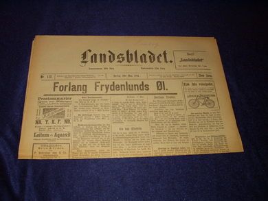 1894 nr 113 Landsbladet
