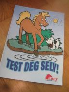 2008, TEST DEG SELV
