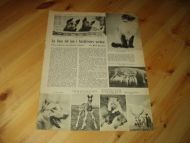 1952 nr 023 Illustrert