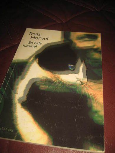 HORVEI.EN HALV HIMMEL. 1996.