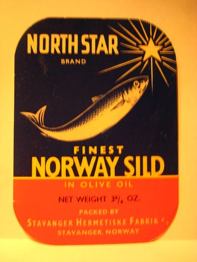 NORTH STAR