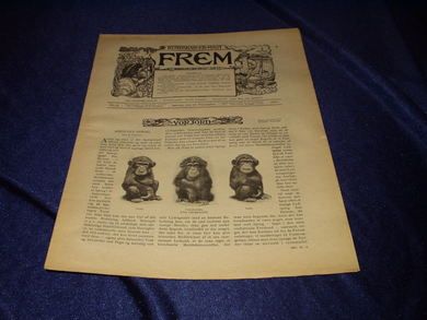 1901 nr 006 FREM Lys over land