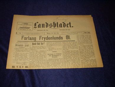 1894 nr 174 Landsbladet