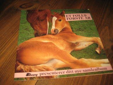 ET FØLLS FØRSTE ÅR