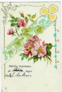Gratulasjonskort fra 1903
