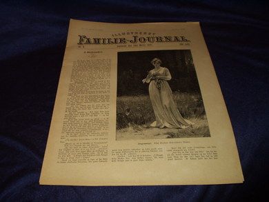 1895 nr 009 Illustrert Familie - Journal