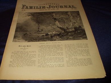 1895 nr 046 Illustrert Familie - Journal