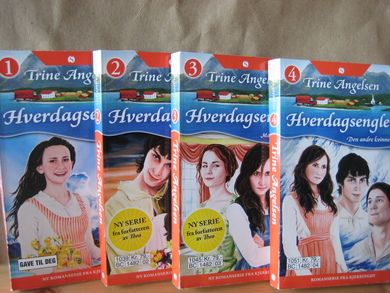 Bok nr 001 2 3 4 KARINE BAK LÅSTE DØRER MAKTKAMP DEN ANDRE KVINNEN