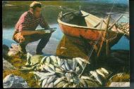 Fra en vellykket fisketur