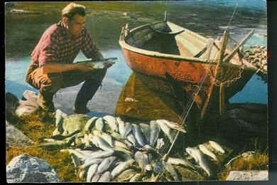 Fra en vellykket fisketur