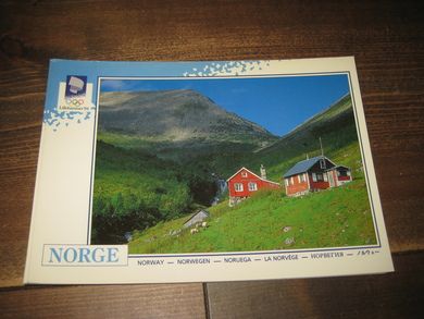 016 LOOC 1991 Fra Romsdalen
