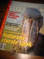 1999 nr 006 ILLUSTRERT VITENSKAP