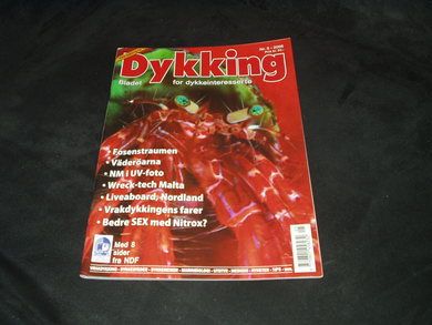 2006,nr 005, Dykking