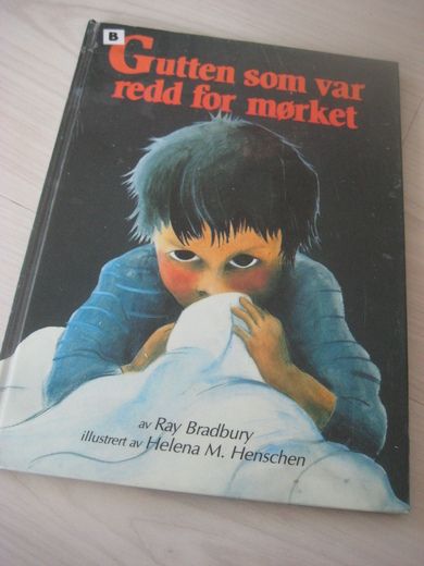 GUTTEN SOM VAR REDD FOR MØRKRET